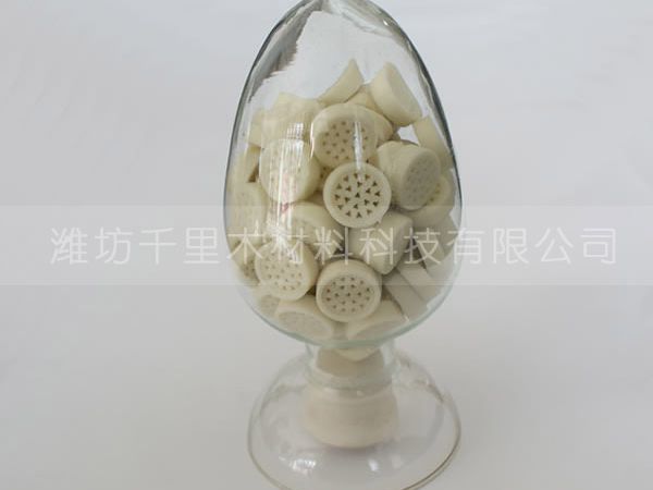 催化剂载体模具